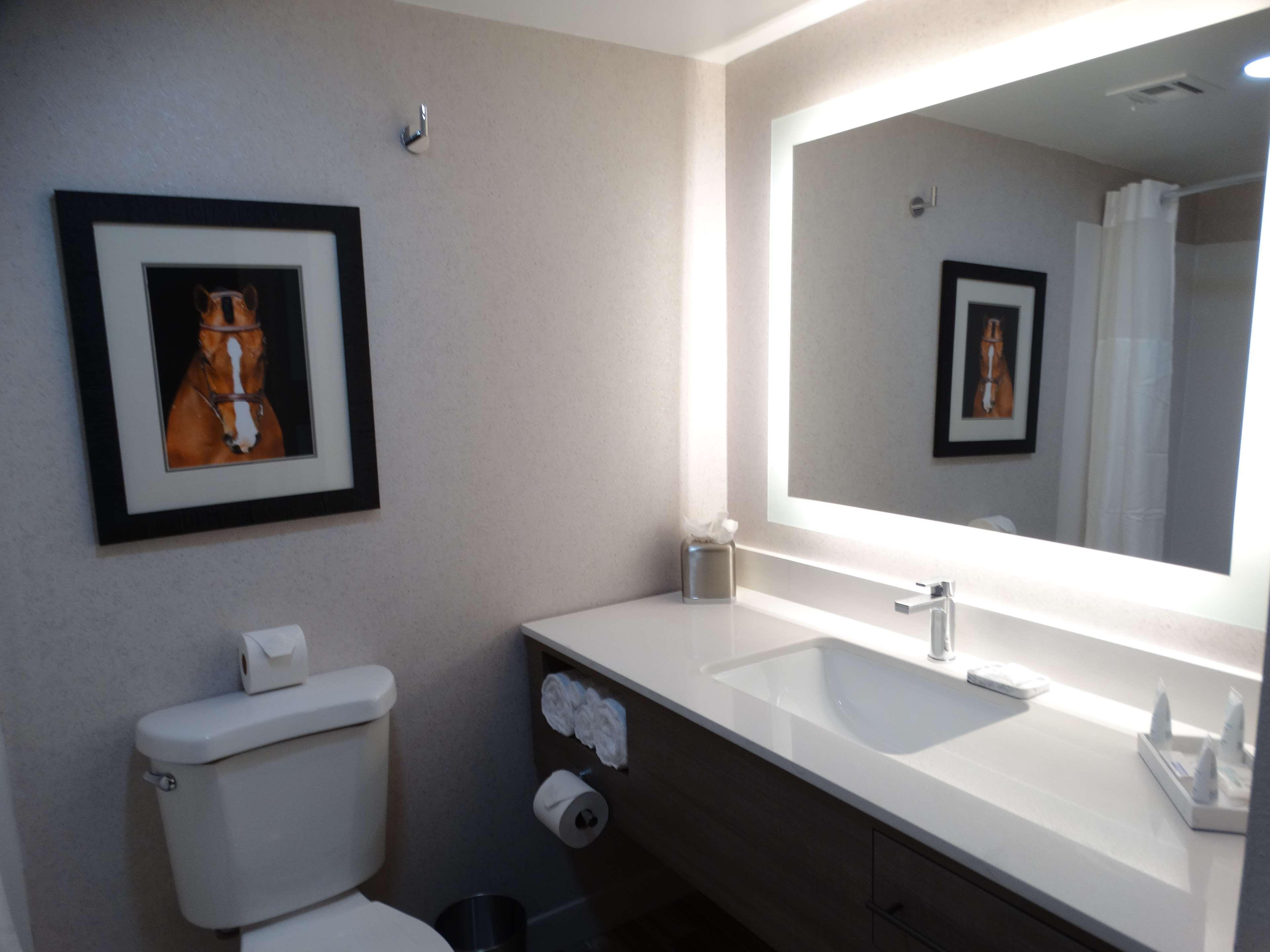 Aiden By Best Western Scottsdale North Esterno foto