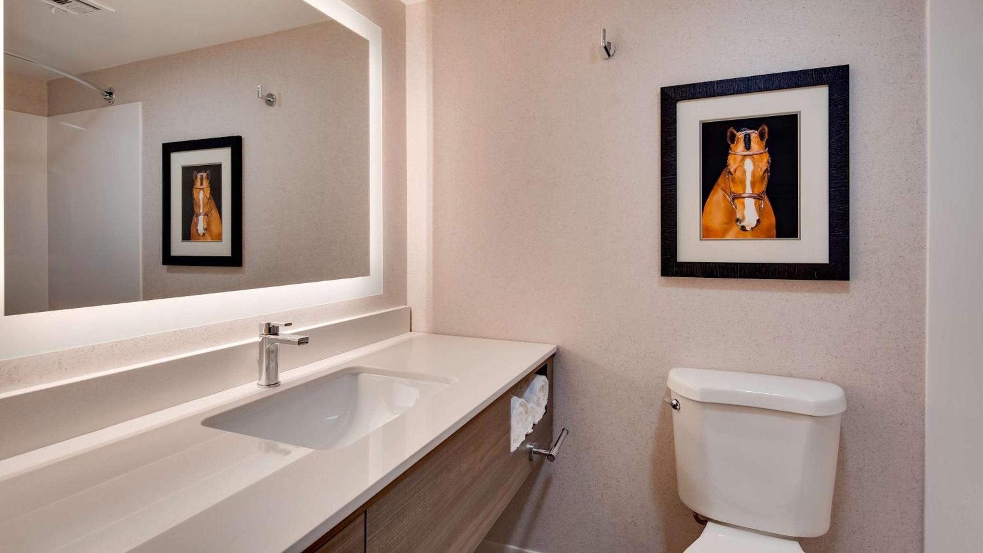 Aiden By Best Western Scottsdale North Esterno foto